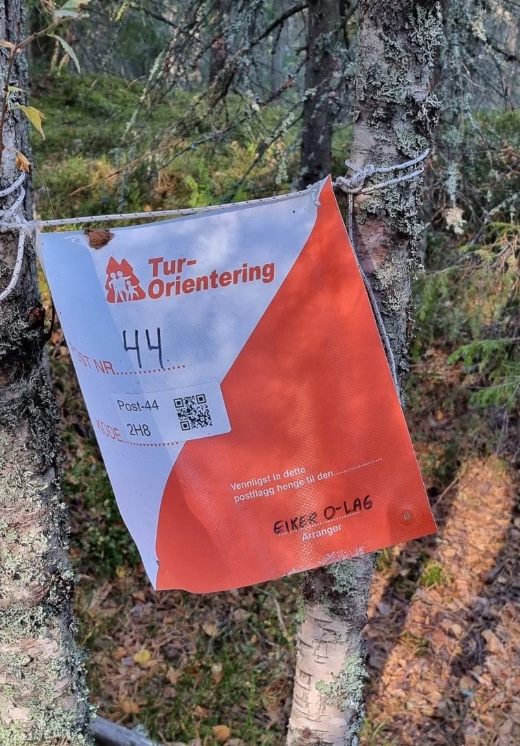 AVSLUTNING ÅRETS SESONG. TURORIENTERING OG TI-PÅ-TOPP